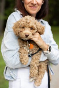 berkshire family photographer